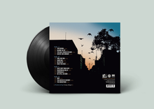 Load image into Gallery viewer, Revival (Vinyl, 180g, 2 record set)